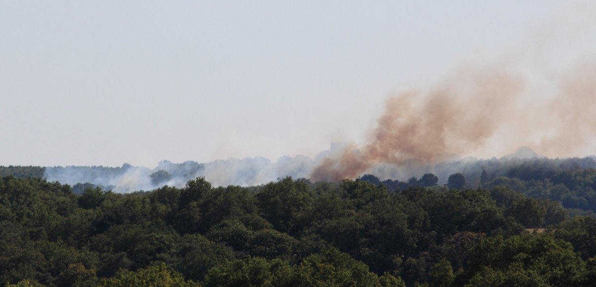 Maine-et-Loire. Deux incendies de moissons, des dizaines d'hectares partent en fumée