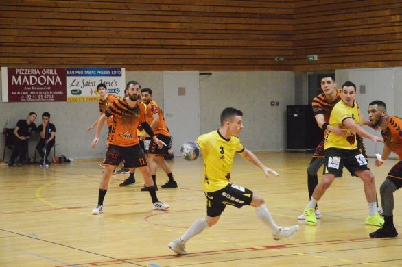Segré-en-Anjou-Bleu. Handball : l'équipe de Nationale 3 de Segré acceptera-t-elle la montée en N2 pour la saison 2020/2021 ?