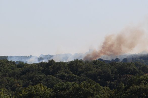 Maine-et-Loire. Deux incendies de moissons, des dizaines d'hectares partent en fumée
