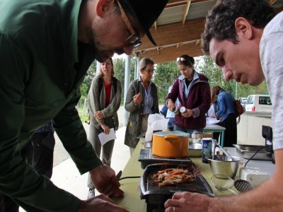 Un restaurateur est venu pour tester ces gambas élevées près de Château-Gontier (Mayenne). - Thomas Gourlin