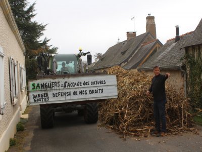 Les tracteurs se sont succédé dans la petite rue pour déverser les restes des dégâts des sangliers dans les champs.