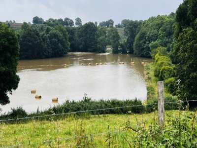 De nombreux champs ont été inondés à Cossé-le-Vivien (Mayenne) les 18 et 19 juin 2024. - Thomas Clavreul