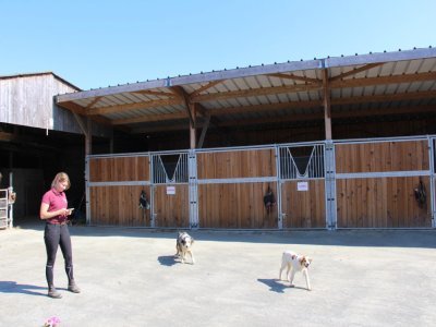 La ferme dispose d'un nouveau bâtiment avec des boxes spacieux et un espace dédié à la préparation des chevaux. - Thomas Gourlin