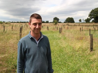 Guy Le Campion propose de "recueillir des arbres abandonnés". - Charlie Creteur