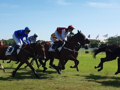 Dans la première course, le prix Jean de la Sayette, il y avait 14 partants sur une distance de 3 700 m. - Philippe Simon