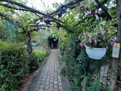 Un décor de rêve s'est dessiné dans le jardin de Beau matin. - Philippe Simon