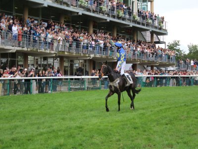 Roi Mage nouveau roi de l'hippodrome de La Touche, à Craon (Mayenne) dimanche 1er septembre 2024, saluant la foule. - Thomas Clavreul