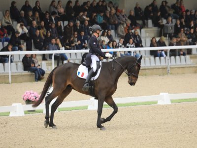 Le public a découvert de grands noms du cheval, qui pour certains ont fait les JO de Paris 2024. - Fabien Gohier