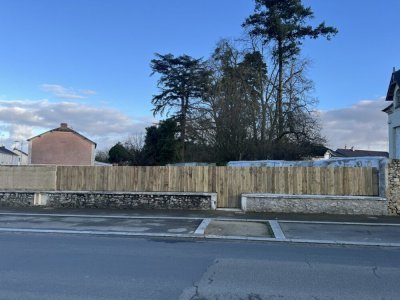 avenue des Tilleuls - Frédéric Renault