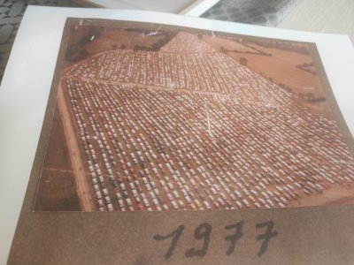 Une vue aérienne du parking en 1977 : uniquement le parking du matin. - Collection privée