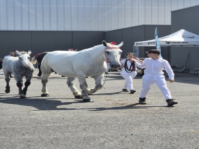 "Il n'y a pas de section étalons par sécurité." - EP