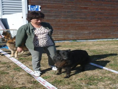 Maryvonne Landreau et Maï'ay, son berger belge groenendael, 9 ans et de nombreux prix. - LMB