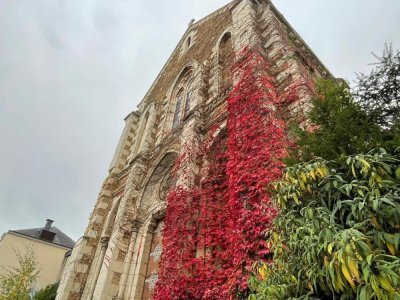 La chapelle de l'hospice Saint-Joseph. - Clémentine Marié