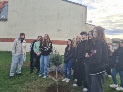 Les élèves ont planté un olivier, symbole de paix. - Clémentine Marié